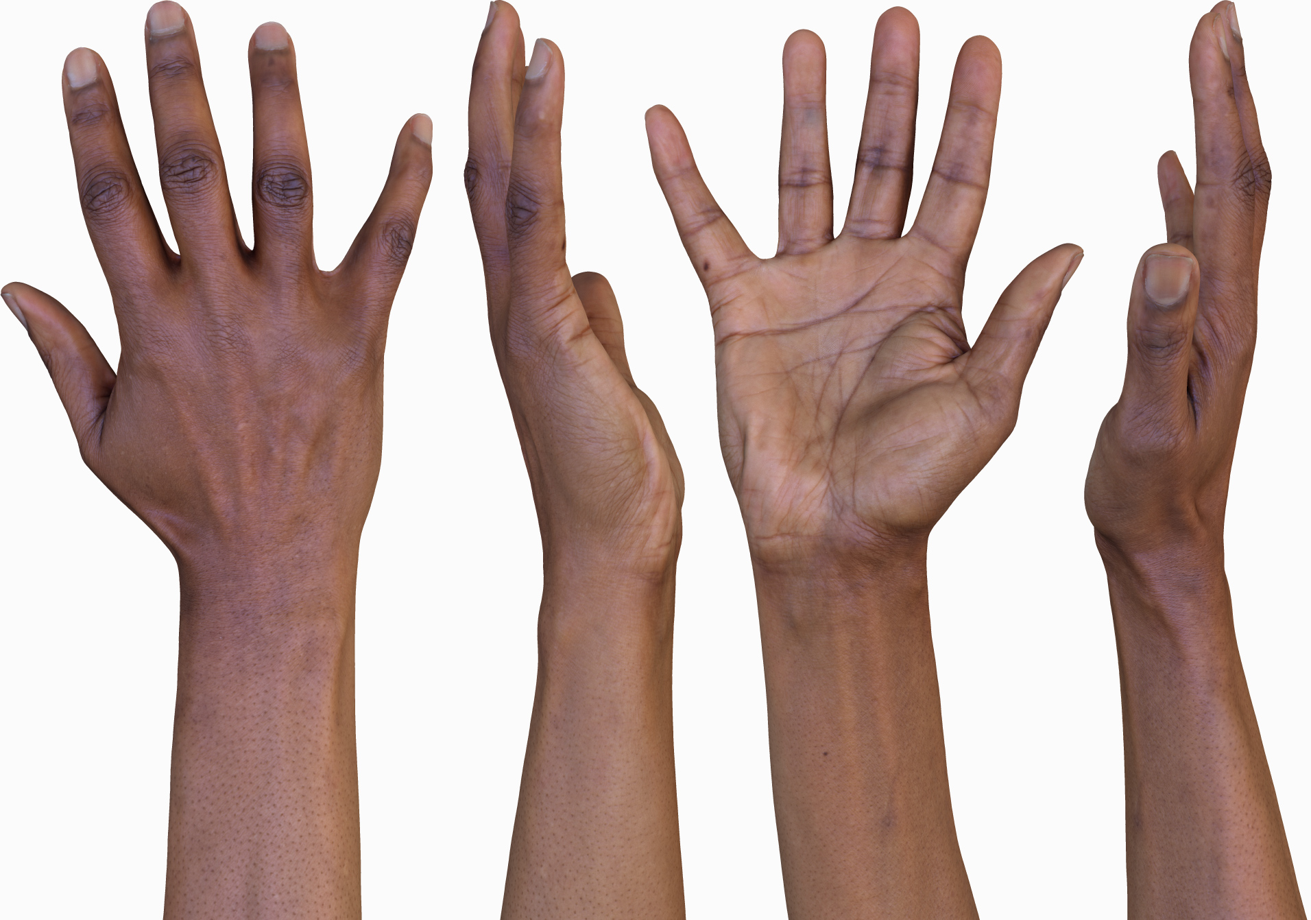3D Hand Model Female Black